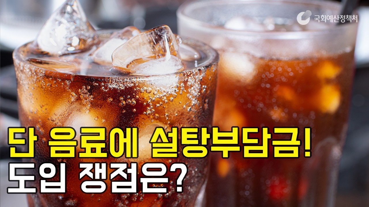 [읽어보는 NABO 보고서] 단 음료에 설탕부담금! 도입 쟁점은?